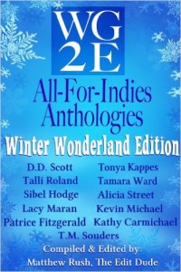 wg2e All For Indies Anthologies: Winter Wonderland Edition